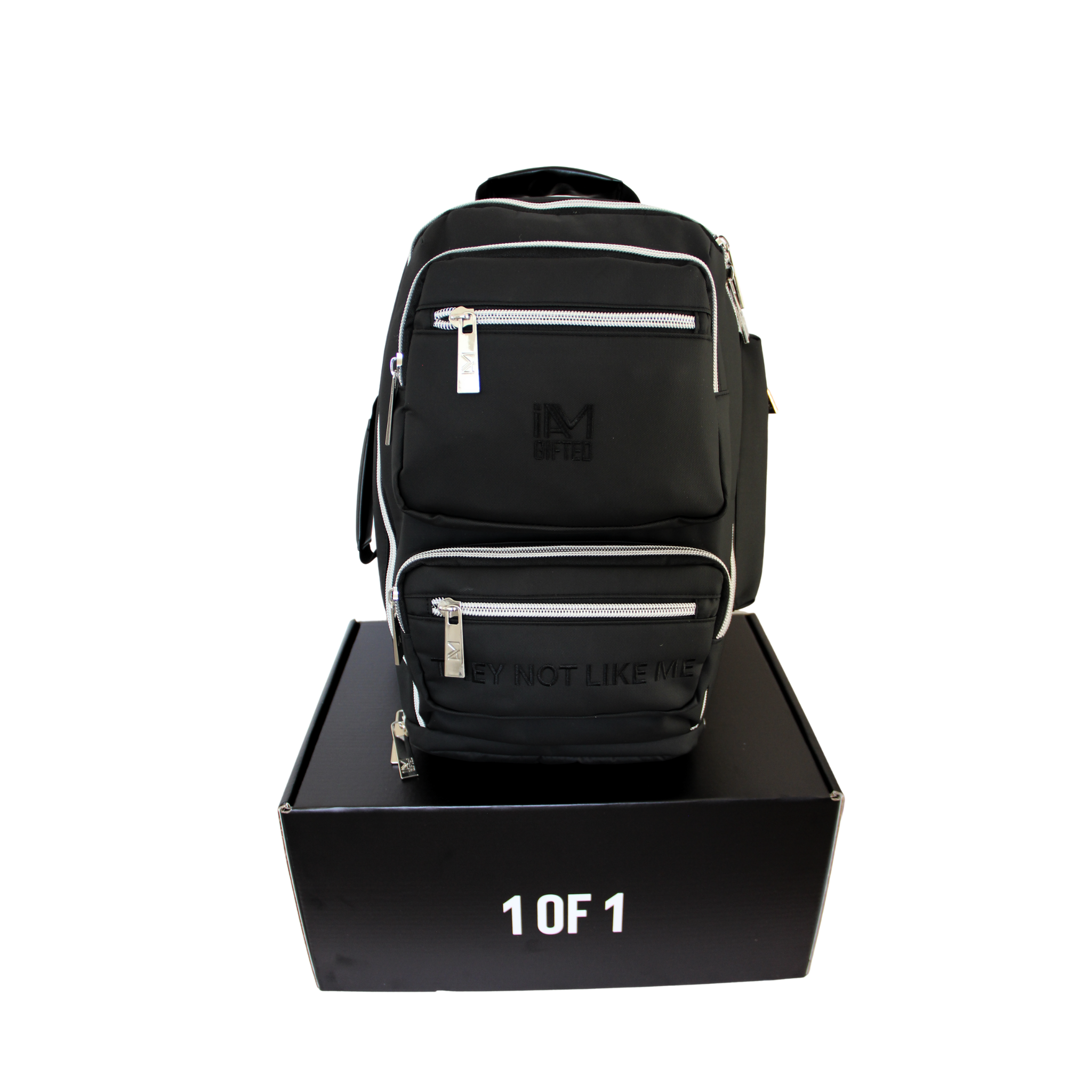 “1 OF 1" — Silver Trim (Elite Large)